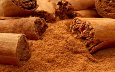 Health Benefits of Cinnamon